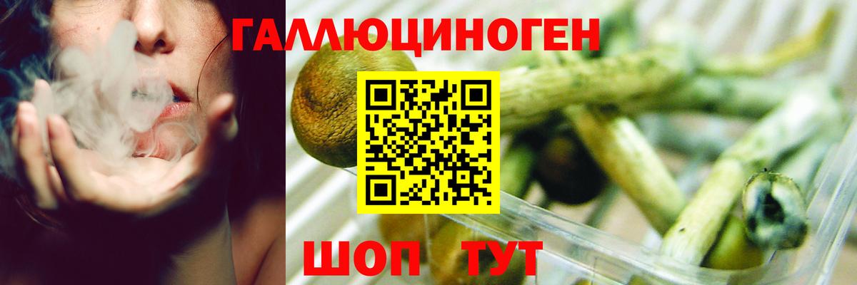 Кызыл  Псилоцибиновые грибы мухоморы  Вход с VPN  Псилоцибиновые грибы Psilocybe 